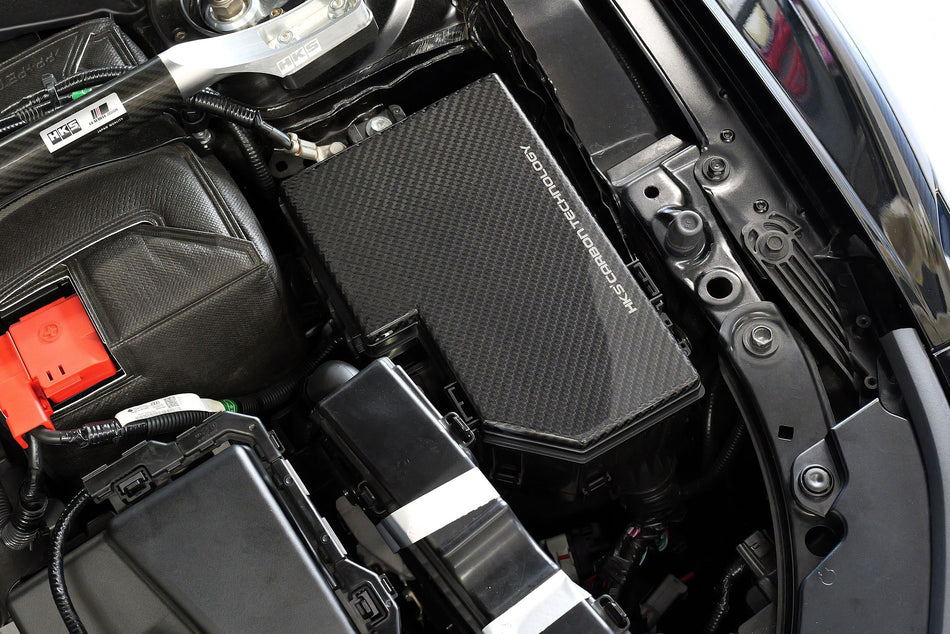 HKS DRY CARBON FUSE BOX COVER FL5